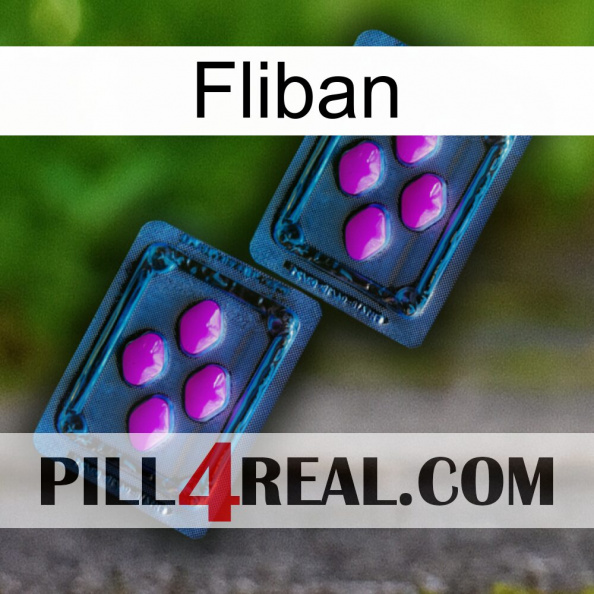 Fliban 03.jpg